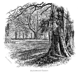 Anderwood Ecke